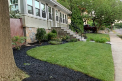 Complete Front Yard Renovation